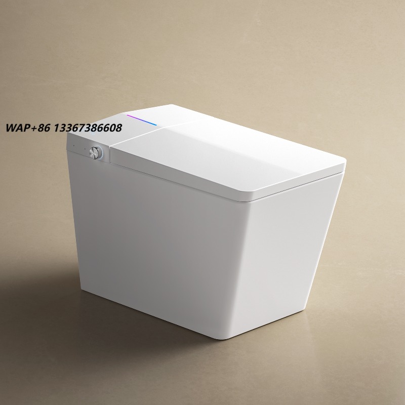 Smart Wc Toilet Smart Toilet S - P & C Home Textiles Usa review and price