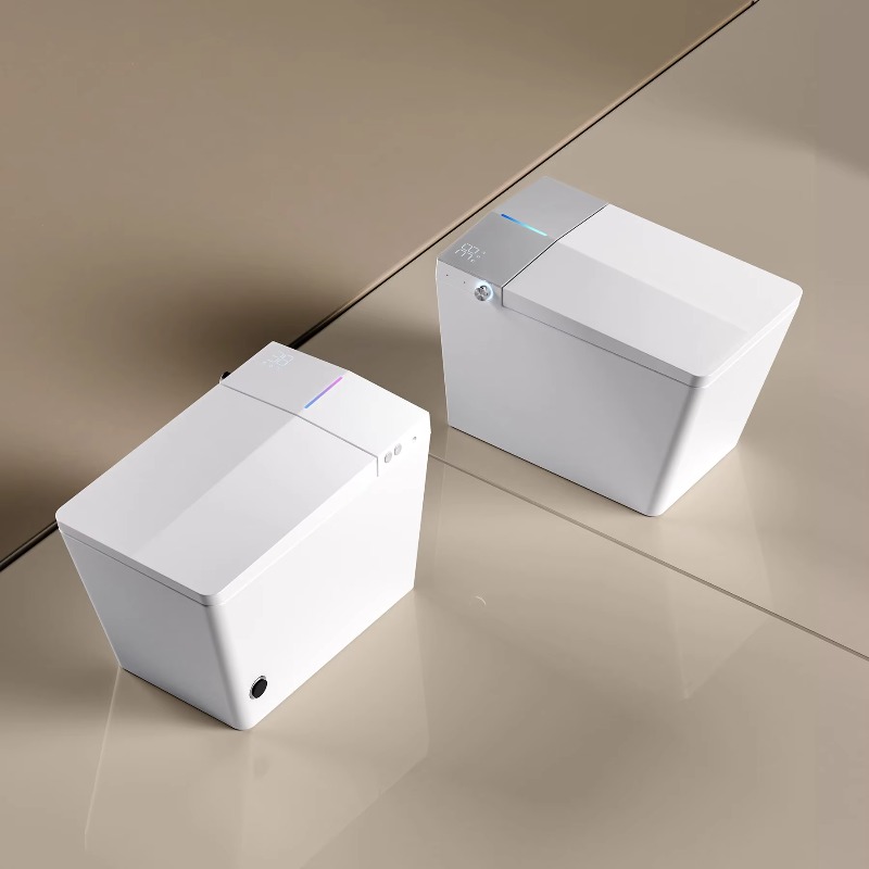 Smart Wc Toilet Smart Toilet S - P & C Home Textiles Usa review and price