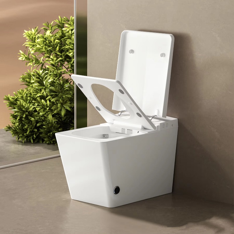 Smart Wc Toilet Smart Toilet S - P & C Home Textiles Usa review and price