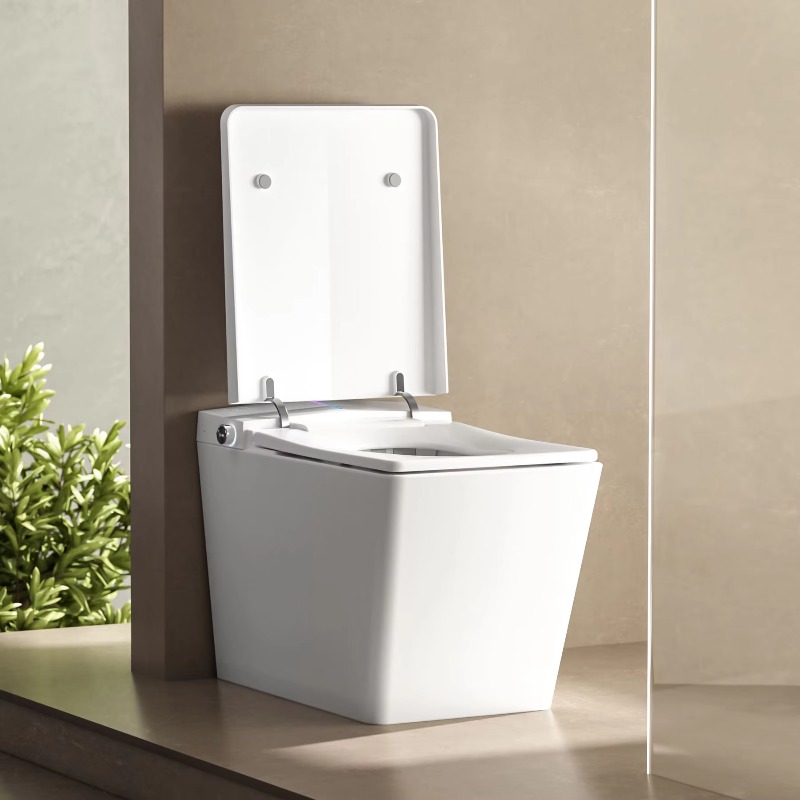 Smart Wc Toilet Smart Toilet S - P & C Home Textiles Usa review and price