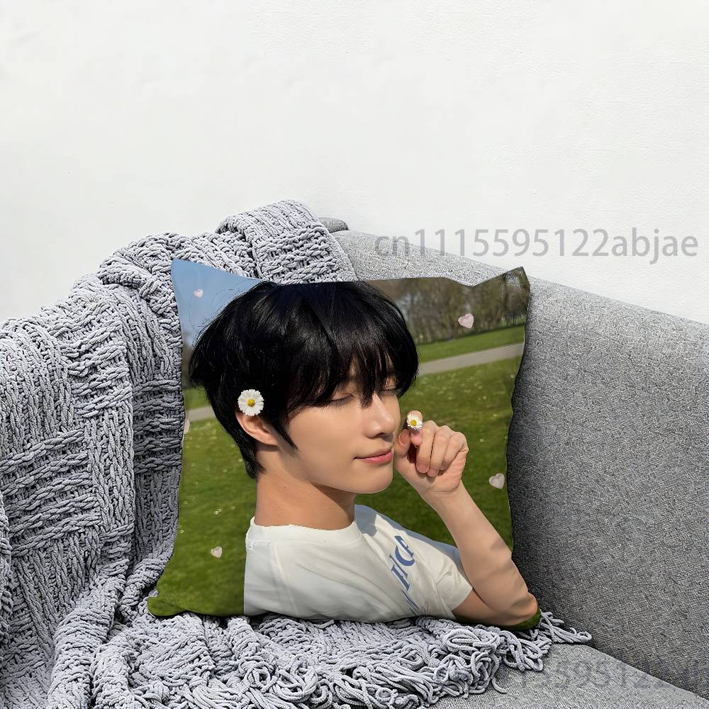 B-BEOMGYU T-TXT-T Throw Pillow - Home Textiles Throw review and price