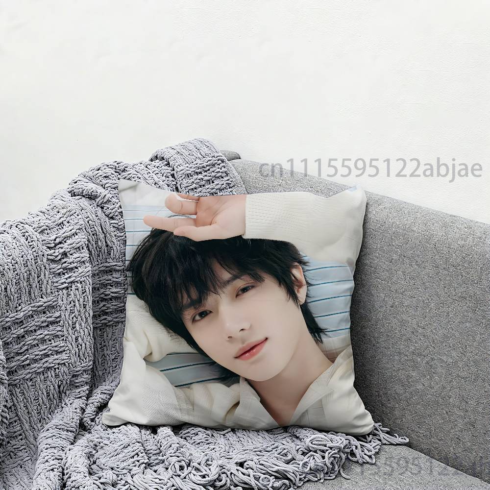 B-BEOMGYU T-TXT-T Throw Pillow - Home Textiles Throw review and price